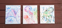 Image 3 of Rainbow Jellyfish Canvas Print - 12x16 