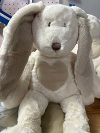 Image 1 of Bunnies - Tall Teddy Bunny