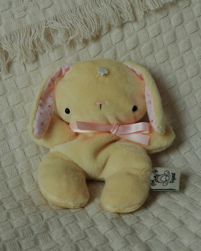 Image of FIRST TIME BUYERS ONLY Star Bunny MINIS