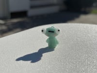 aqua froggie