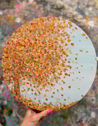 Image 1 of October Moments