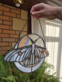 Image 2 of Ghost silkmoth