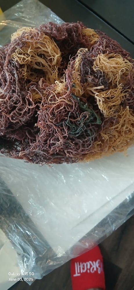 Image of Full Spectrum Seamoss. 1/2 pound