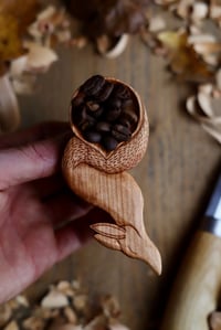 Image 9 of Fox Coffee  Scoop