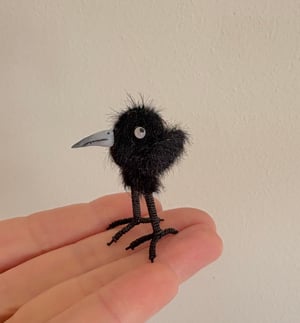 Image of Very Tiny Raven Baby #2