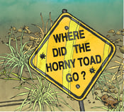 Image of Where Did the Horny Toad Go? DVD