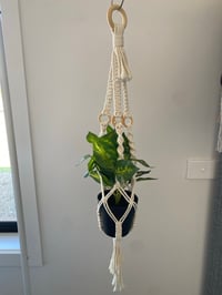 Image 1 of Macrame single plant hanger
