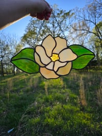 Image 4 of Magnolia 