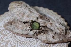 Image of Emerald Tree Boa - Bronze Collection