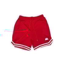 Image 3 of Cotton Fleece Shorts