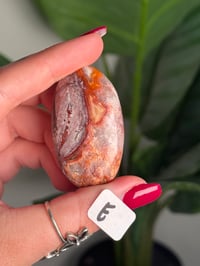 Image 11 of CHOOSE YOUR OWN MEXICAN LACE AGATE PALMSTONES 