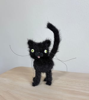 Image of Tiny Alley Cat #5