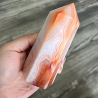 Image 1 of Carnelian Tower F