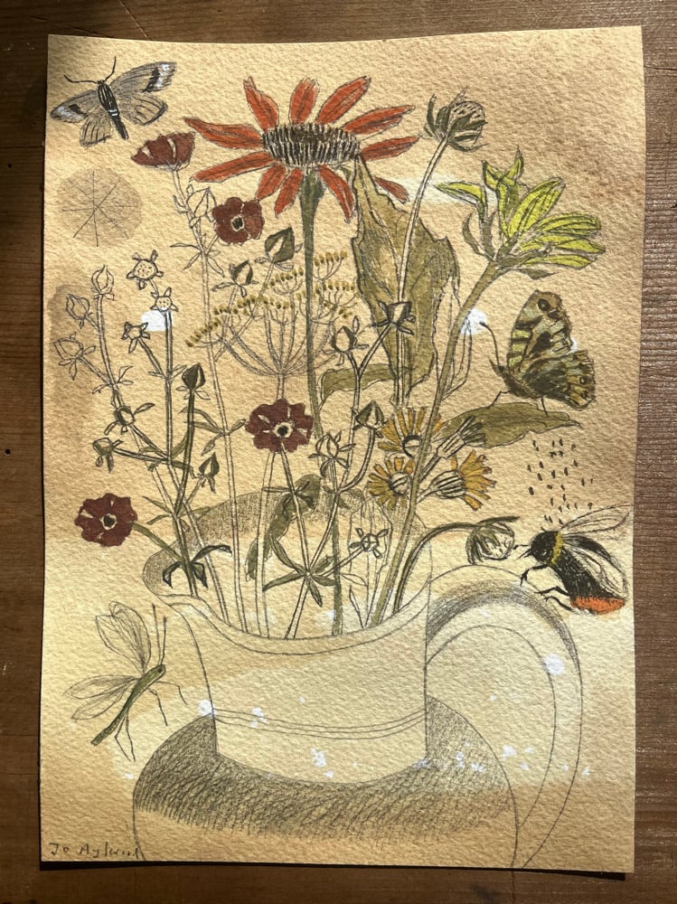 Image of Late summer flowers 