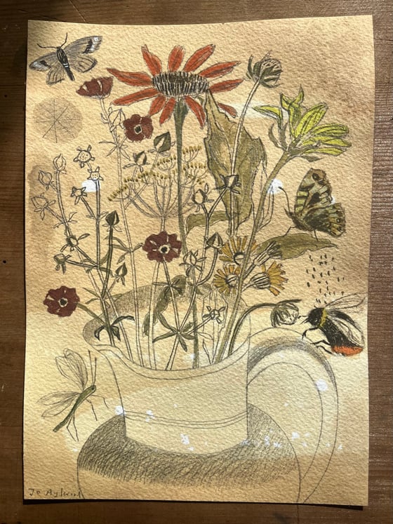 Image of Late summer flowers 