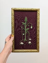 Image 4 of Vegetable Lamb of Tartary