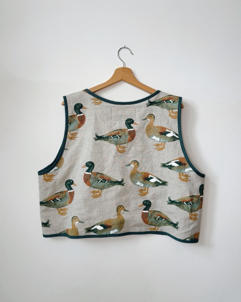 Image of n a n o v o  vesta 001