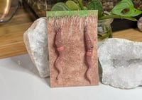 Image 1 of Worm Earrings - Slime and Greg