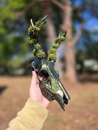 Image 2 of Forest Fairy Deer Skull