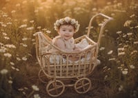 Image 2 of Ollie Pram