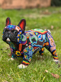 Image 1 of Large Frenchie 06