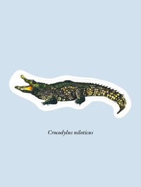 Image 18 of Stickers