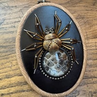 Image 1 of Snake skin spider (b, 4x5 inches)