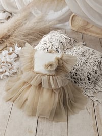 Image 1 of Baby girl body-dress for sitter photoshoots | Elowen | age 9-12 months| beige