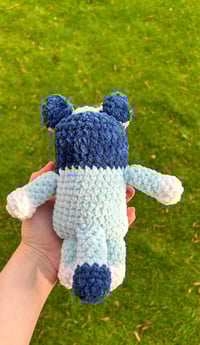 Image 3 of Blue Heeler Dog