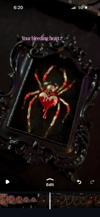 Image 3 of Bleeding Heart