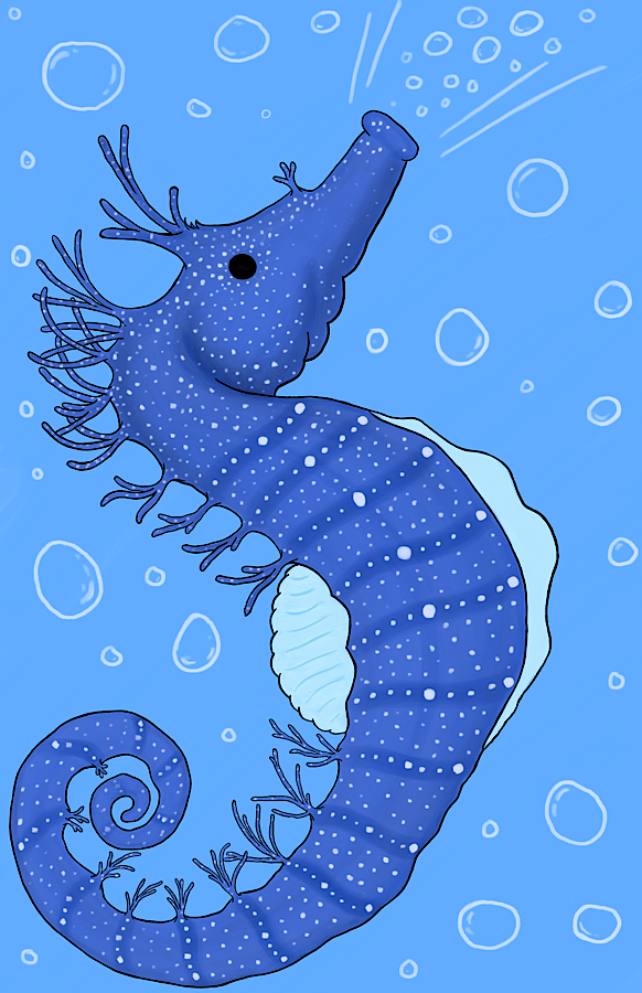 Image of Under The Sea