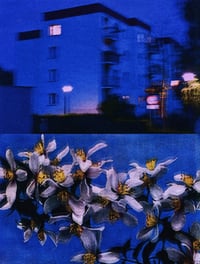 Image 2 of MIDNIGHT BLUE