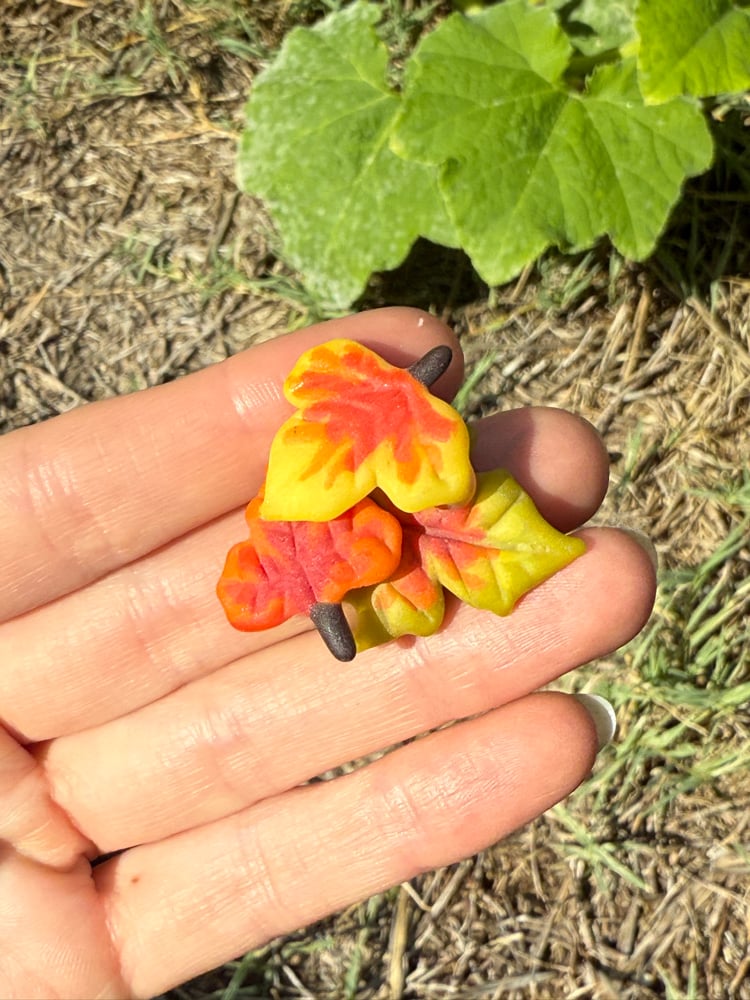 Image of Fall Leaf Pendants 