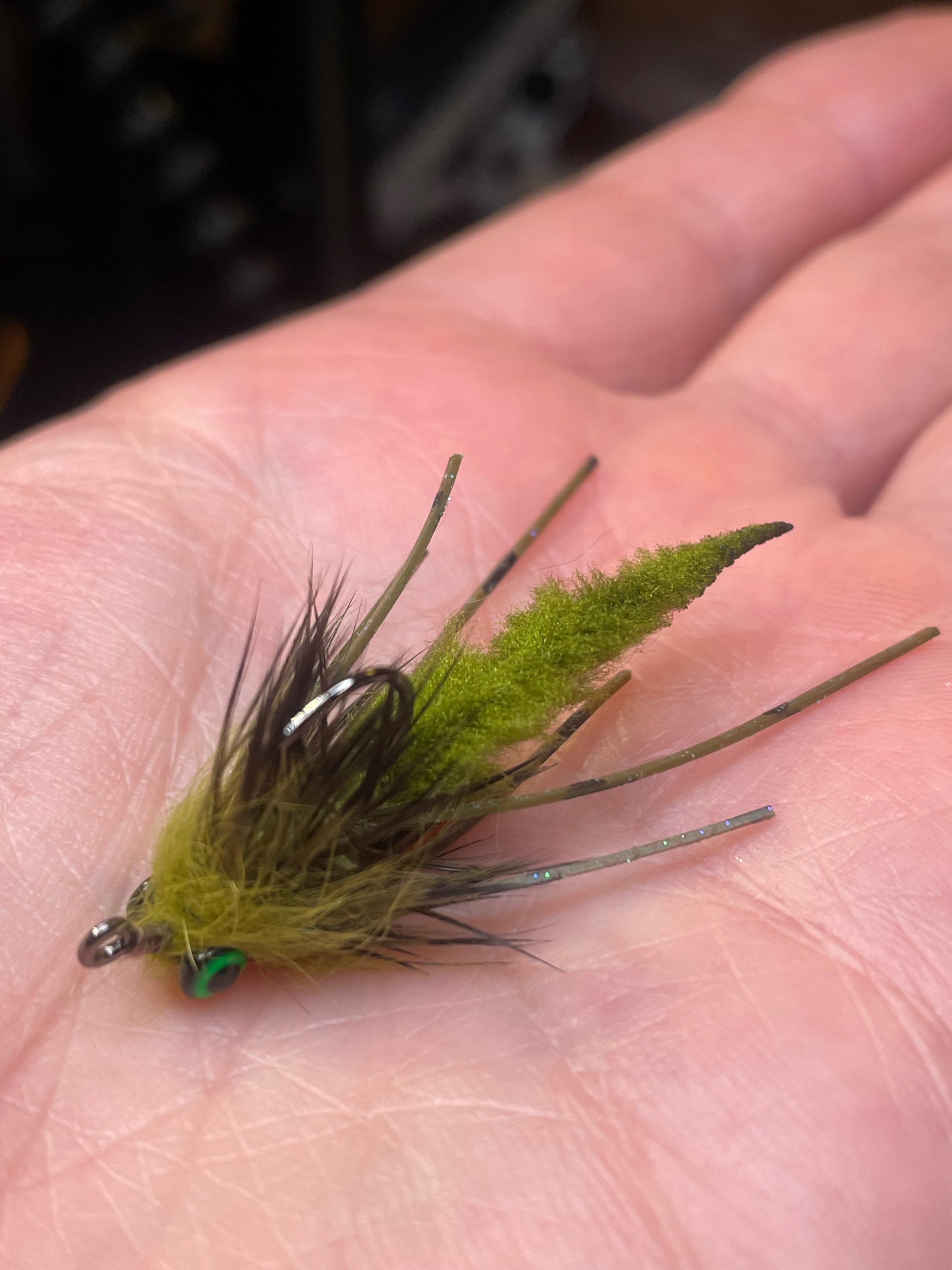dragon carp fly reels Hatch Iconic Dragon's Blood Charlie's Box The Dragon Fly This is a dragon fly