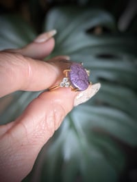 Image 2 of The Amanda