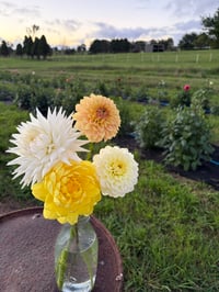 Image 1 of Dahlia Vase