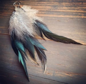 Image of Moa kane Hawaiian rooster feather earrings