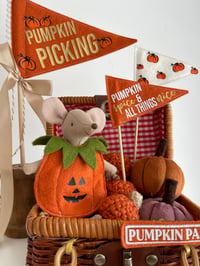 Image 6 of Mouse Pumpkin outfit