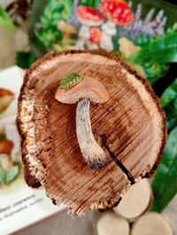 Image 6 of Grzybowe magnesy na lodówkę 