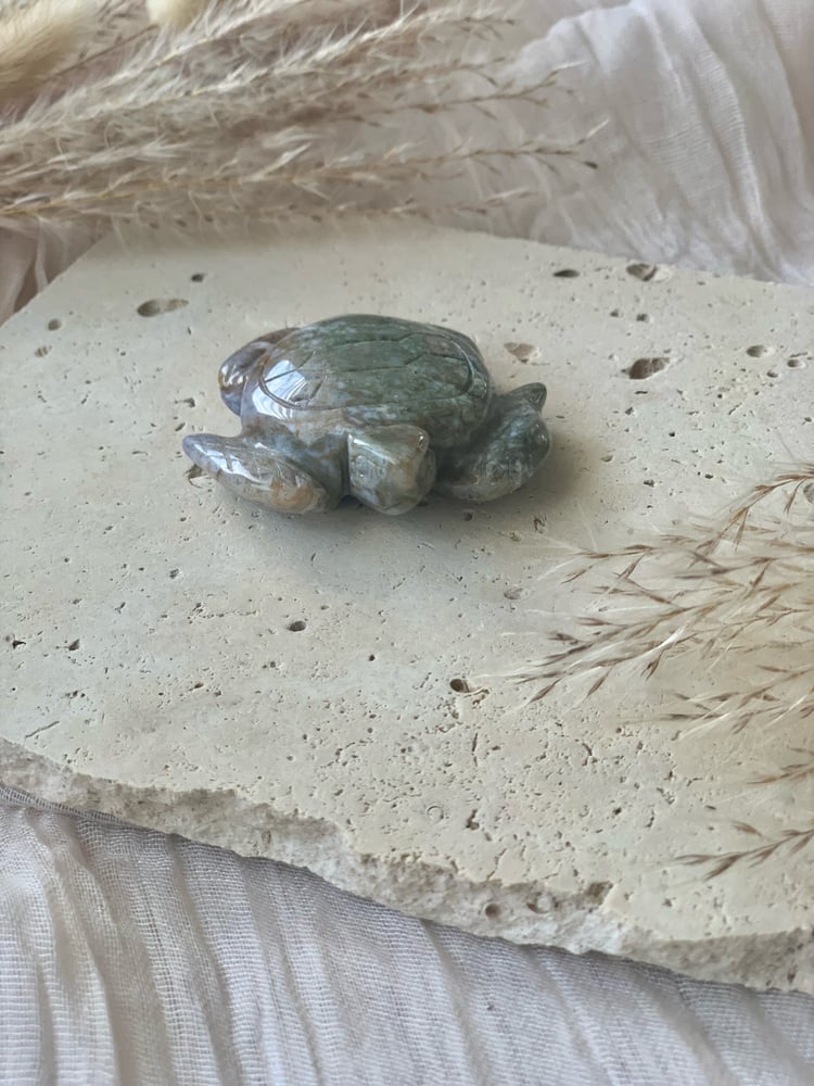 Image of Ocean Jasper Turtles 