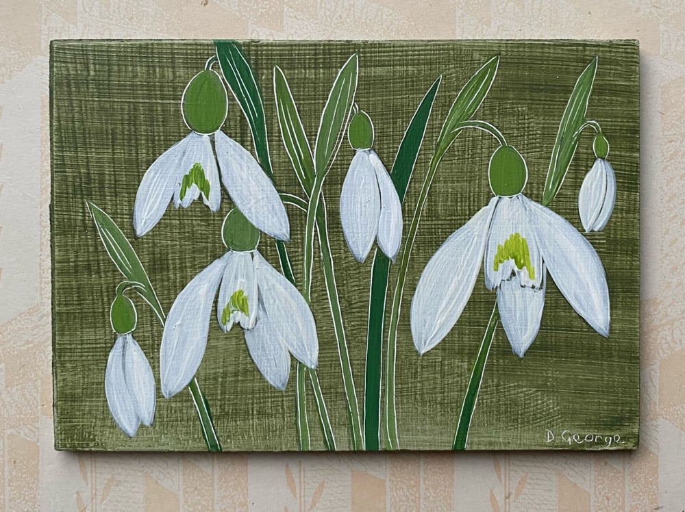 Image of Snowdrop Study (2)