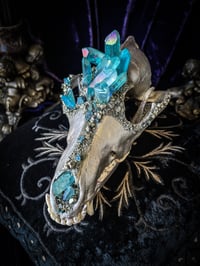 Image 3 of Lt Blue Aura Quartz & Chalcopyrite - Coyote Skull