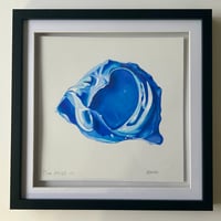 Image 1 of Blue 291125