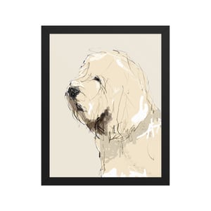 Image of OTTERHOUND