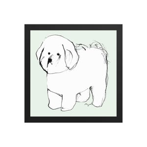 Image of BICHON FRISE