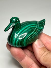 Image 13 of Malachite Duck Carving | #3030
