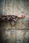 BLACK AND BROWN FLORAL TULLE BLOUSE