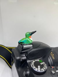 Image 2 of Ruby-throated Hummingbird Hotshoe Cover