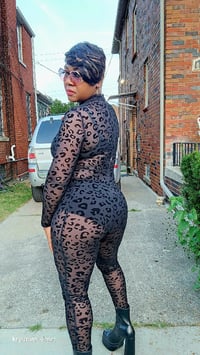 Image 6 of Black Cat 