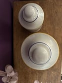 Deux pots d’apothicaire vintages: L’élixir de longue vie et Sel de sagesse.  